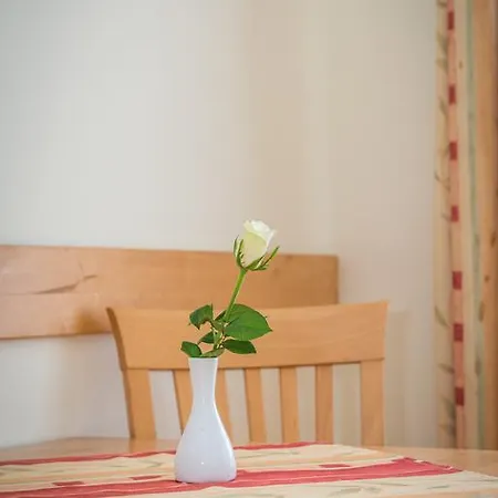 게스트하우스 Gasthof-pension Oelberger 볼프스베르크